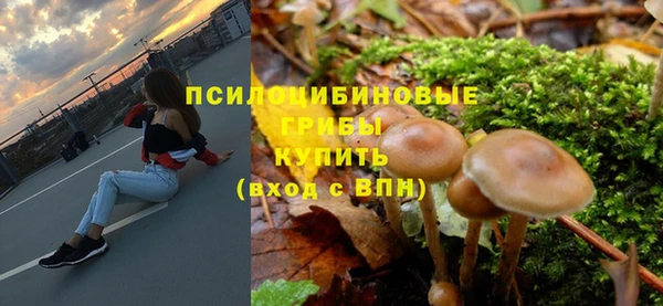 гашик Осташков