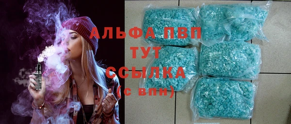 гашик Осташков